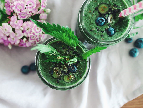 Wild Green Smoothie Wild Green Smoothie