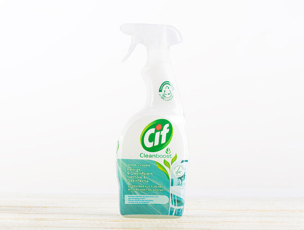 Desinfektionsreiniger Spray, 750ml