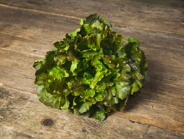 Bio Batavia Salat grün von Bioleguma bequem liefern lassen