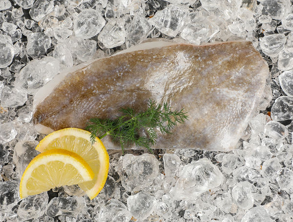 St. Pierre Filet von Vlaamse Visveiling liefern lassen