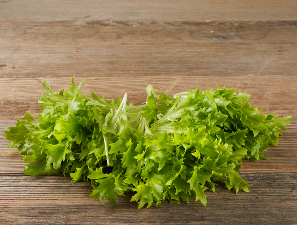 45+ Kopfsalat Bildet Keinen Kopf, Eissalat bildet schwere köpfe, ist