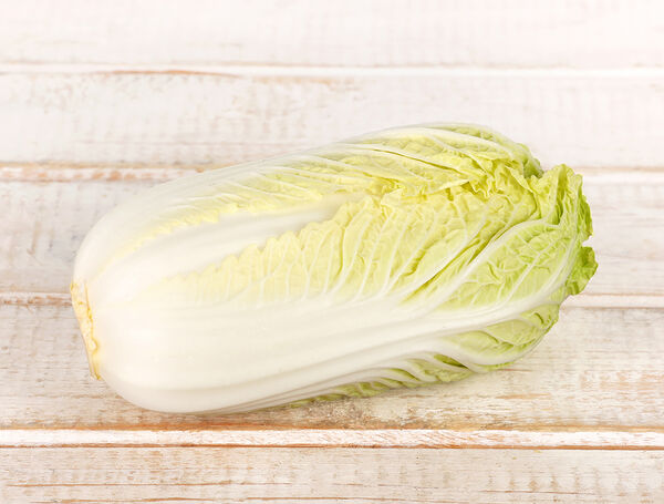 Bio Chinese cabbage – Bio Suisse Knospe –