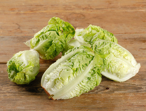 Mini Salat, 6 Stk von Roduit frisch &amp; bequem liefern lassen